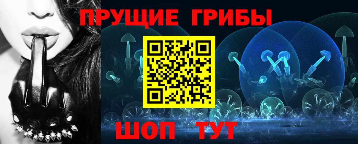 Егорьевск  Псилоцибиновые грибы ЛСД  Псилоцибиновые грибы Psilocybine cubensis  Вход с VPN 